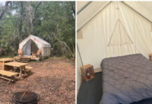 S.C. State Parks to start offering glamping tents at select locations S.C. State Parks to start offering glamping tents at select locations