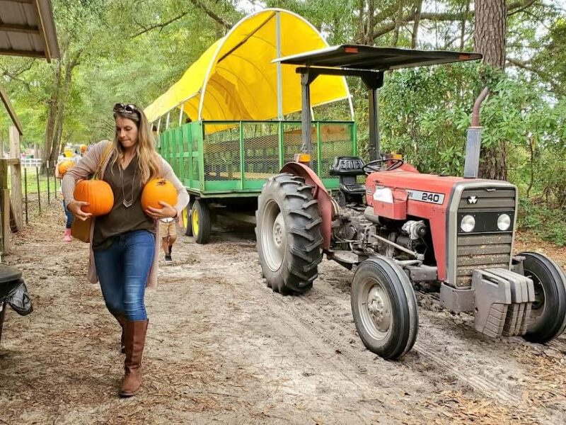 Holiday Farms to kick off season September 30th