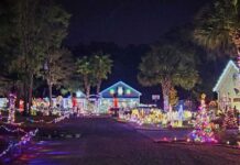 Magical Lady’s Island Christmas light display dazzles visitors big and small Magical Lady's Island Christmas light display dazzles visitors big and small