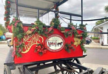 Enjoy Christmas Carriage rides in Beaufort this holiday season Enjoy a Christmas Carriage ride in Beaufort this holiday season