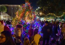 A Collection of must-see Lowcountry Holiday events A Collection of must-see Lowcountry Holiday events