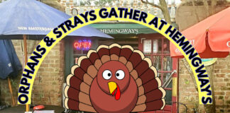30th Annual Orphans & Strays Free Thanksgiving Dinner