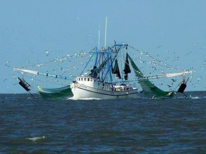 Resolution asks S.C. Governor to declare economic disaster to aid shrimpers