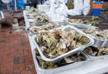 Oyster Festival set to invade downtown Beaufort this weekend