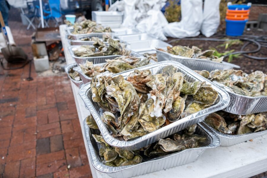 Oyster Festival set to invade downtown Beaufort this weekend Explore Beaufort SC