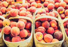 Move over, Georgia: South Carolina produces more peaches than you Move over, Georgia: South Carolina produces more peaches than you