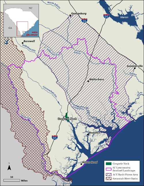 S.C. Nature Conservancy buys & protects one of largest waterfront ...