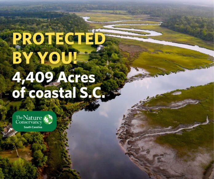 S.C. Nature Conservancy buys & protects one of largest waterfront properties on coast