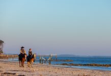 Camelot Farms announces new horse-friendly campsites