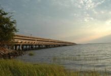SCDNR hosting free Fishing Clinics at Broad River Fishing Pier SCDNR hosting free Fishing Clinics at Broad River Fishing Pier