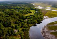 4,400 acres of Lowcountry wetlands now protected from future development