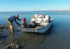 Shellfish harvesting season begins October 1st in S.C. waters