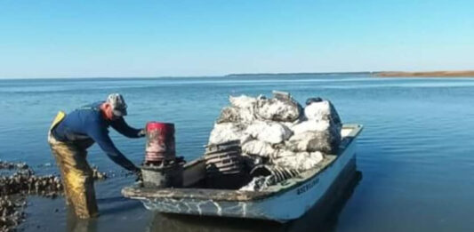 Shellfish harvesting season begins October 1st in S.C. waters