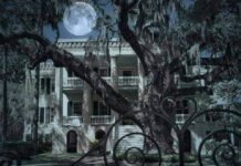 The Castle in downtown not hosting Halloween this year The Castle in downtown not hosting Halloween this year