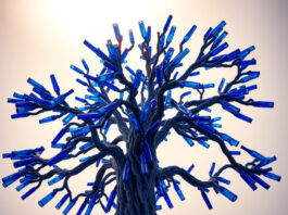 Bluffton Gullah Heritage Center to open with largest bottle trees in ...