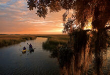 Beaufort ranked healthiest county in South Carolina for 14th year Beaufort ranked healthiest county in South Carolina for 14th year