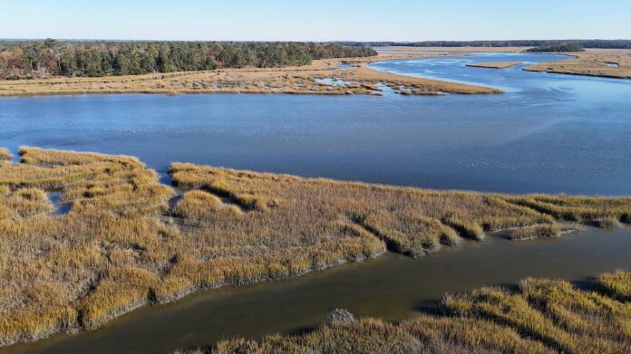 Once slated for development, 2,737 acres now preserved in Lowcountry