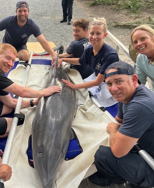 Dolphin rescued from Bluffton lagoon in multi-agency effort