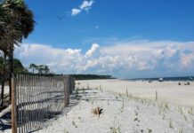 Hunting Island named one of Top Beaches in South Carolina Hunting Island named one of Top Beaches in South Carolina