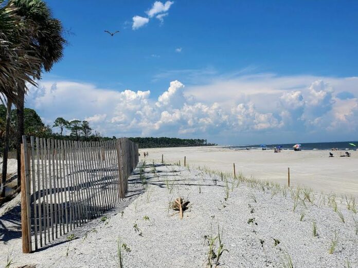 Hunting Island named one of Top Beaches in South Carolina
