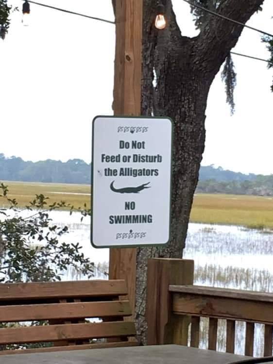 Where the Locals Go: St. Helena Island's Foolish Frog