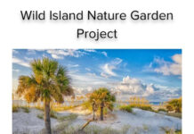 Hunting Island seeks volunteers for new conservation group Hunting Island seeks volunteers for new conservation group