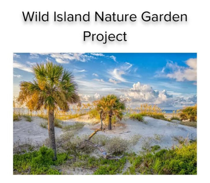 Hunting Island seeks volunteers for new conservation group