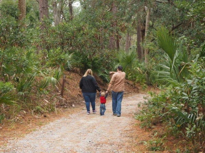 Hunting Island to host New Year's Day First Day Hikes