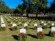 Volunteers needed to retire wreaths at Beaufort National Cemetery Volunteers needed to retire wreaths at Beaufort National Cemetery