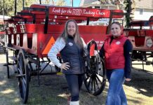Longtime Beaufort carriage tour company hands over the reins Long time Beaufort carriage tour company hands over the reins
