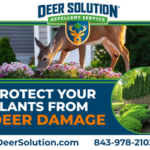 deersolutionsoflowcountry