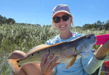 S.C. Senate committee restricts redfish size & catch limits S.C. Senate committee restricts redfish size & catch limits