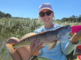 S.C. Senate committee restricts redfish size & catch limits S.C. Senate committee restricts redfish size & catch limits