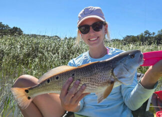 S.C. Senate committee restricts redfish size & catch limits S.C. Senate committee restricts redfish size & catch limits