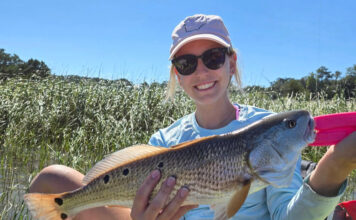 S.C. Senate committee restricts redfish size & catch limits S.C. Senate committee restricts redfish size & catch limits
