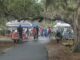 Farm to Table: A visit to the Port Royal Farmers Market A visit to the Port Royal Farmers Market