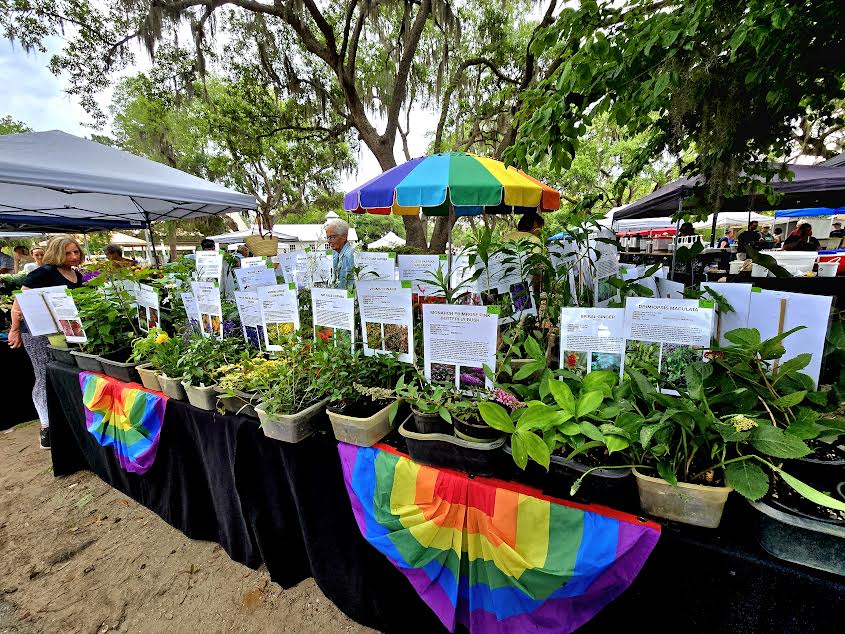 A visit to the Port Royal Farmers Market
