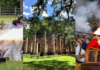 Celebrate America’s 250th Birthday with a week of history in Beaufort
