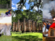 Celebrate America’s 250th Birthday with a week of history in Beaufort