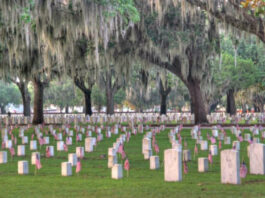 National Cemetery hosting National Day of Service & Remembrance
