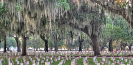National Cemetery hosting National Day of Service & Remembrance