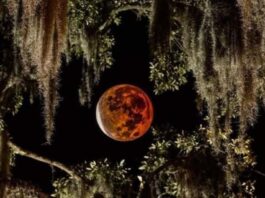 Blood moon lunar eclipse coming to sky on Thursday night Blood moon lunar eclipse coming to sky on Thursday night