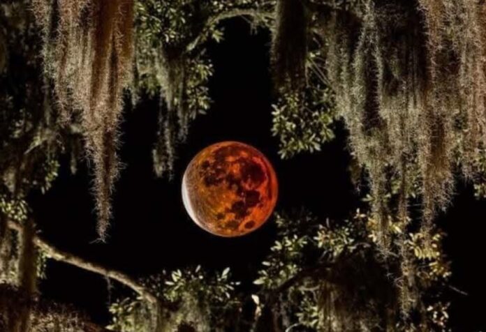 eclipse4 Blood moon lunar eclipse coming to sky on Thursday night