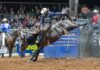 Lowcountry Pro Rodeo coming to St. Helena Island
