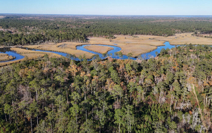 New 2,700 acre Chelsea State Forest opening soon in Beaufort area