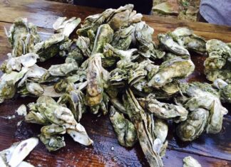 Beaufort named one of top destinations to enjoy incredible oysters