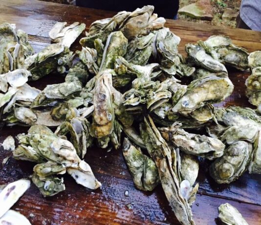 Beaufort named one of top destinations to enjoy incredible oysters